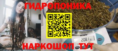 ешки Новоалександровск