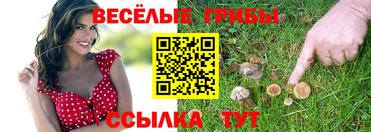 Галлюциногенные грибы прущие грибы Донецк