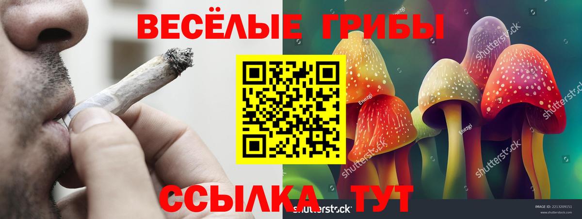 купить наркоту  Галлюциногенные грибы GOLDEN TEACHER  Вход с VPN  Донецк 